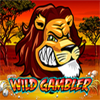 Wild Gambler